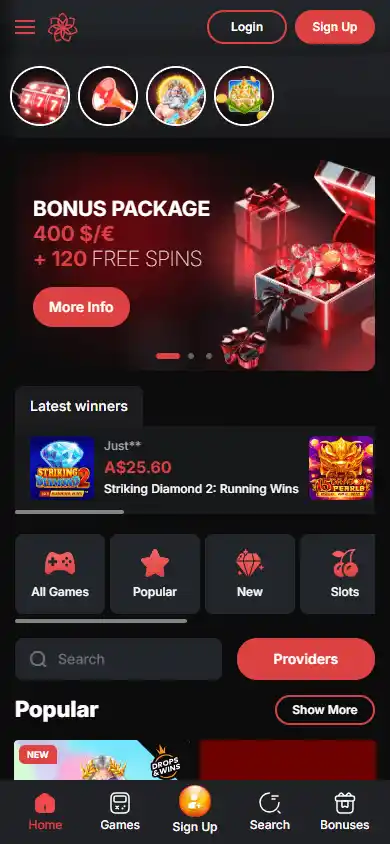 Casinochan screenshot 4