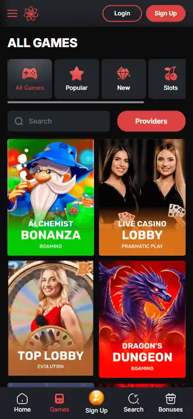 Casinochan screenshot 5