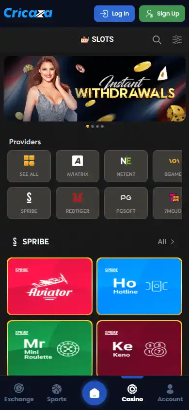 Cricaza Casino screenshot 4