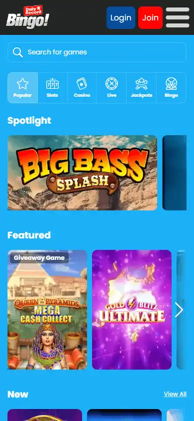 Daily Record Bingo Casino screenshot 5