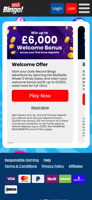 Daily Record Bingo Casino screenshot 6