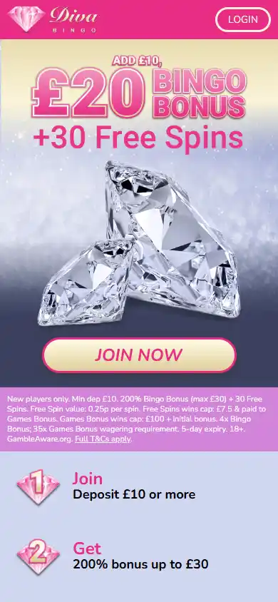 Diva Bingo Casino screenshot 2
