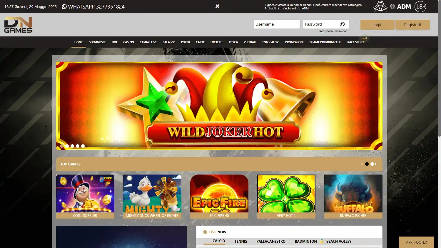 DN Games Casino screenshot 1