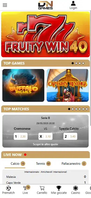 DN Games Casino screenshot 4