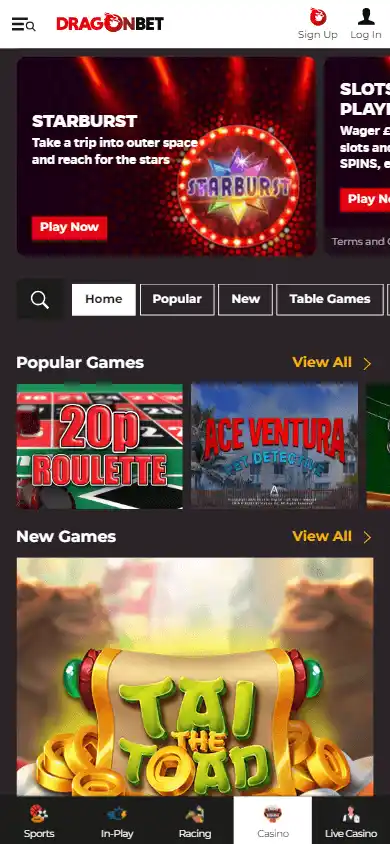 DragonBet Casino screenshot 3