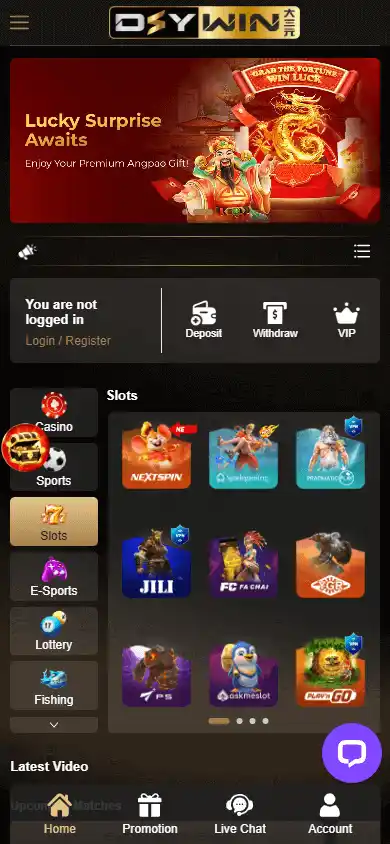 DSYWIN Casino screenshot 4