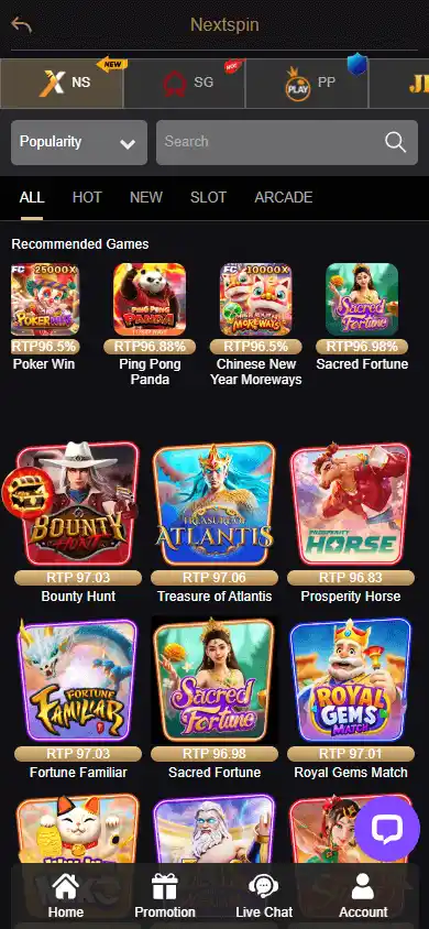 DSYWIN Casino screenshot 5