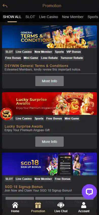 DSYWIN Casino screenshot 6