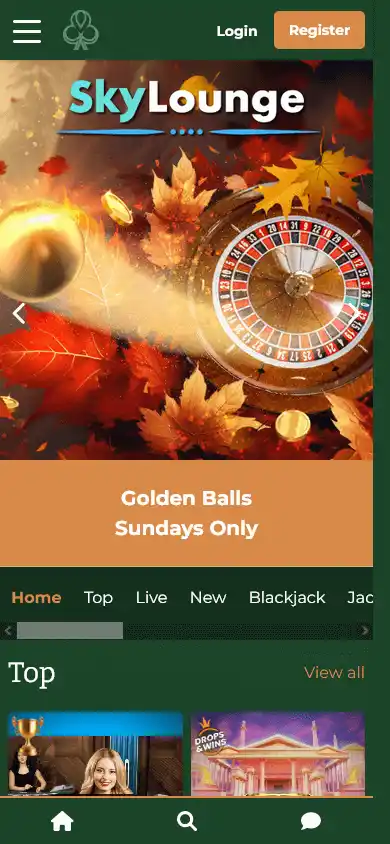 Dublinbet Casino screenshot 3