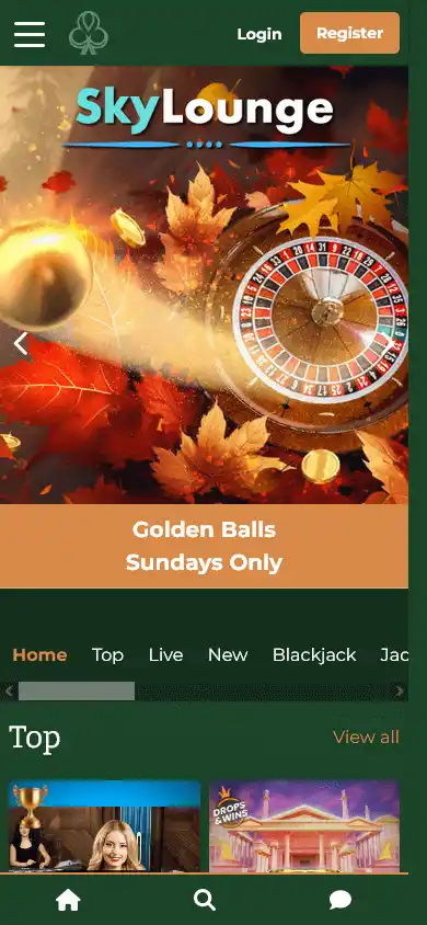 Dublinbet Casino screenshot 4