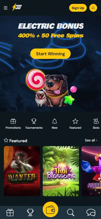 Electric Wins Casino screenshot 4