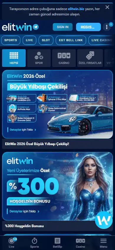 Elitwin Casino screenshot 6