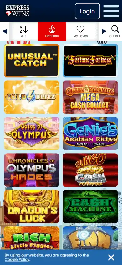 Express Wins Casino IE screenshot 4