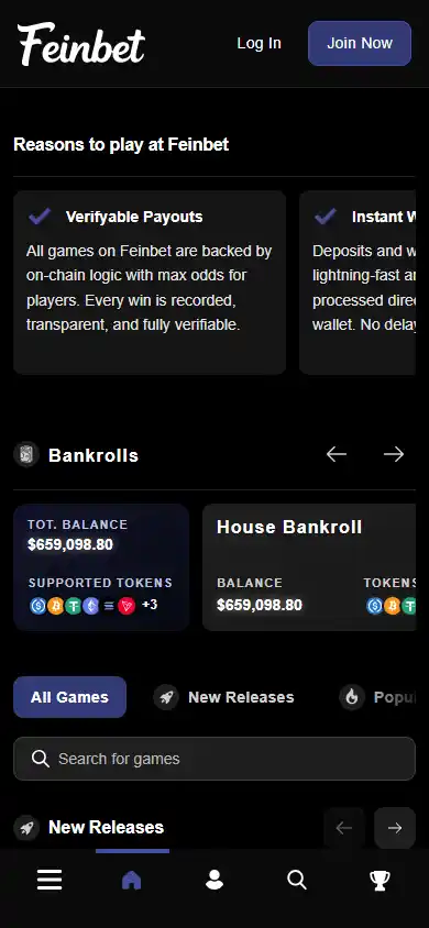 Feinbet Casino screenshot 3