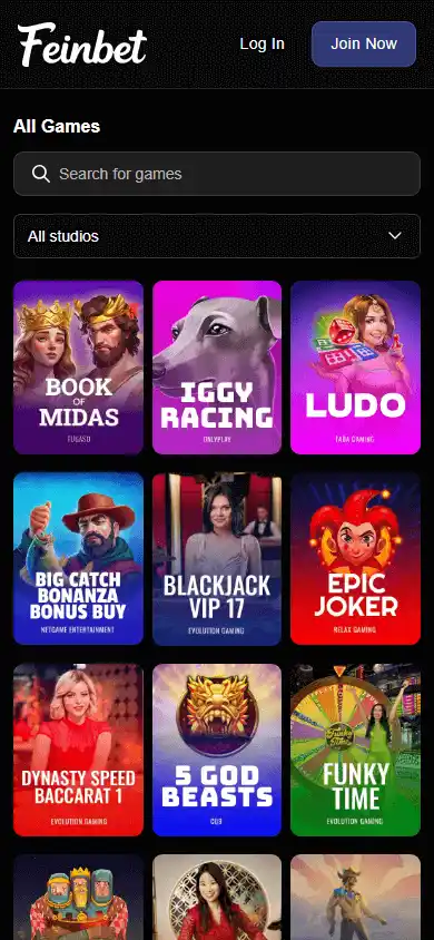 Feinbet Casino screenshot 4