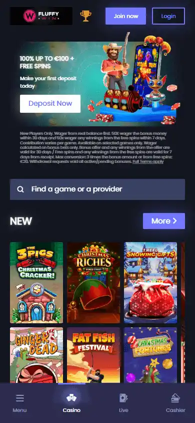 FluffyWin Casino screenshot 4