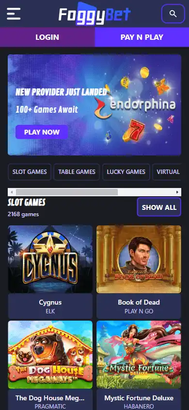 Foggybet Casino screenshot 4