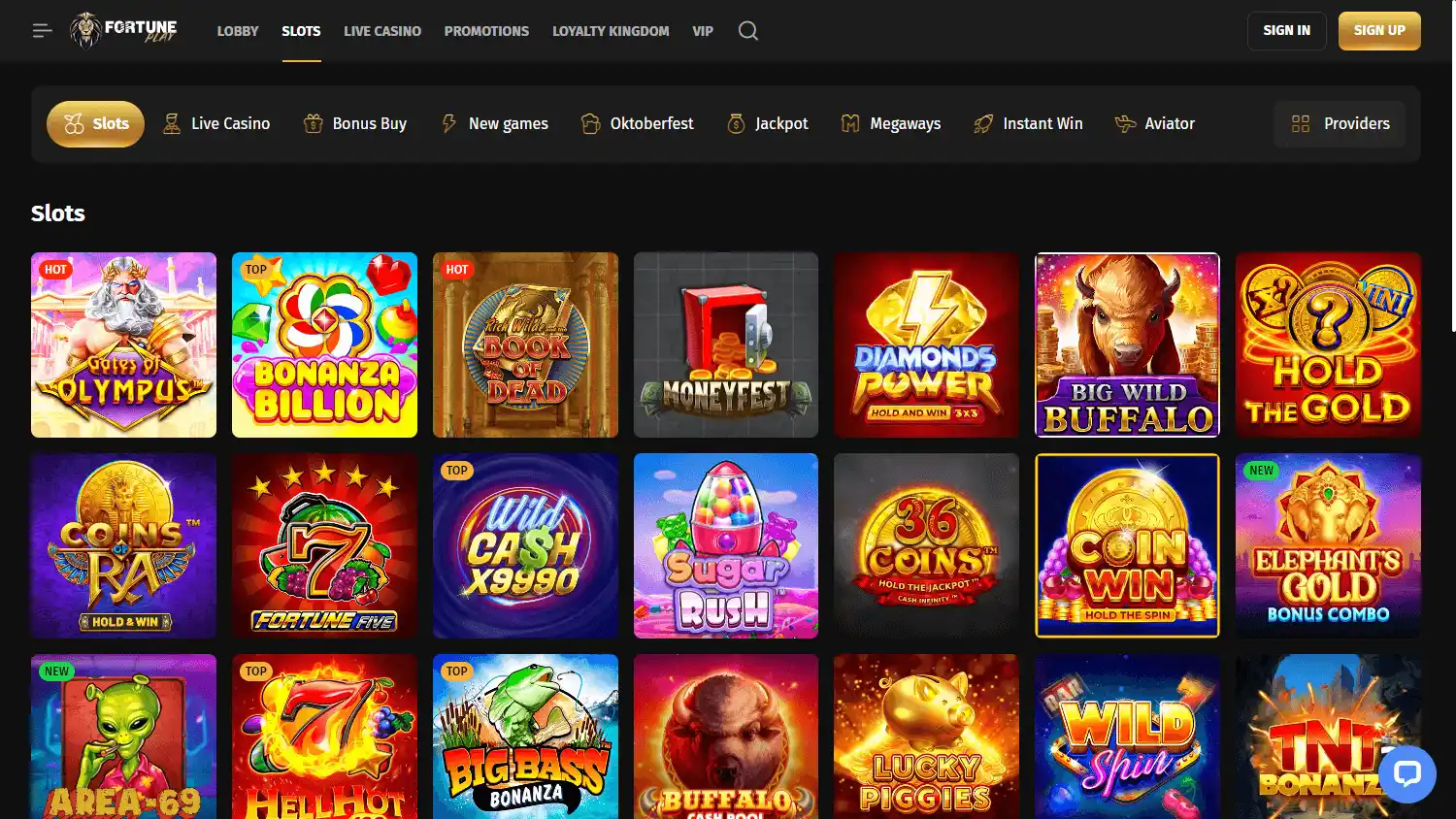 Fortune Play Casino screenshot 2