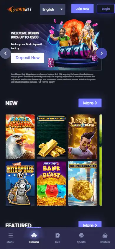 GatoBet Casino screenshot 4