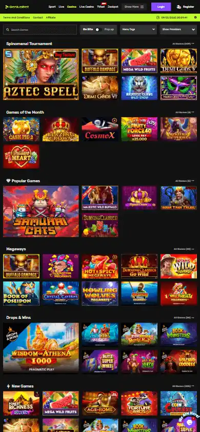 Geniusbet Casino screenshot 5