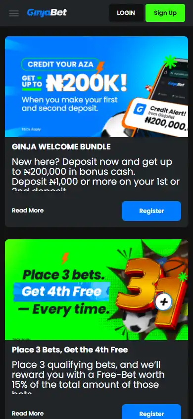 GinjaBet Casino screenshot 6