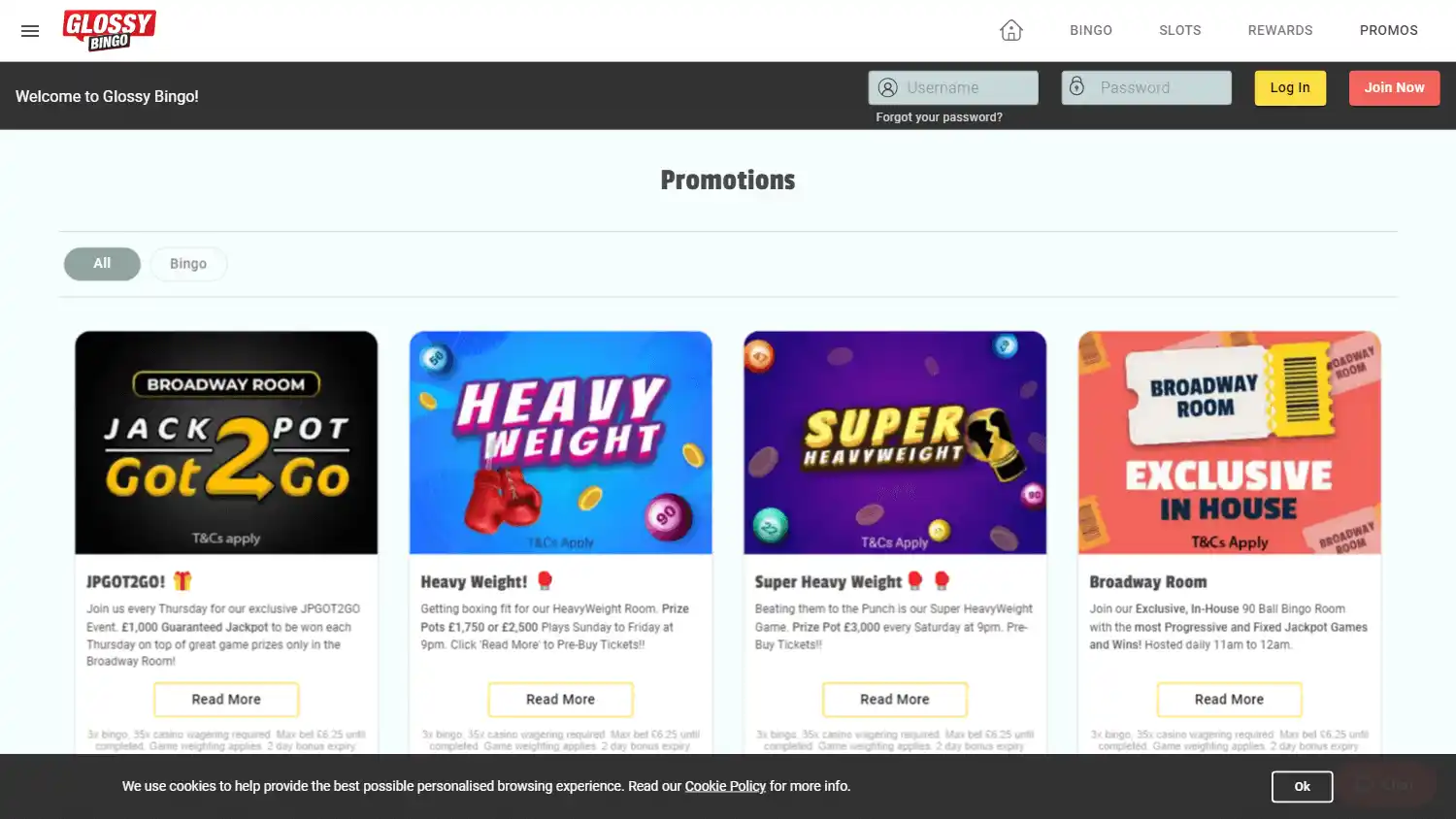 Glossy Bingo Casino screenshot 3