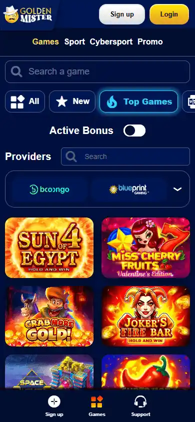 Golden Mister Casino screenshot 5
