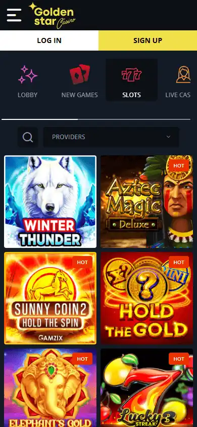 Golden Star Casino screenshot 5