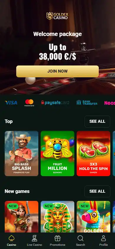 Goldex Casino screenshot 4