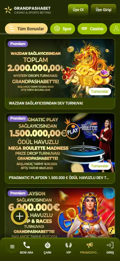GrandPashaBet Casino screenshot 6