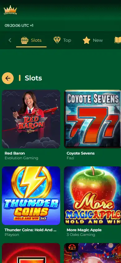 GrandWin Casino screenshot 4