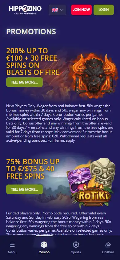 Hippozino Casino screenshot 6
