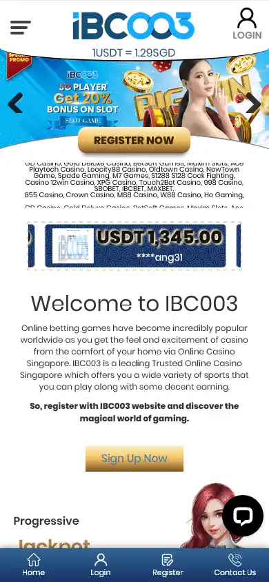 IBC003 Casino screenshot 5