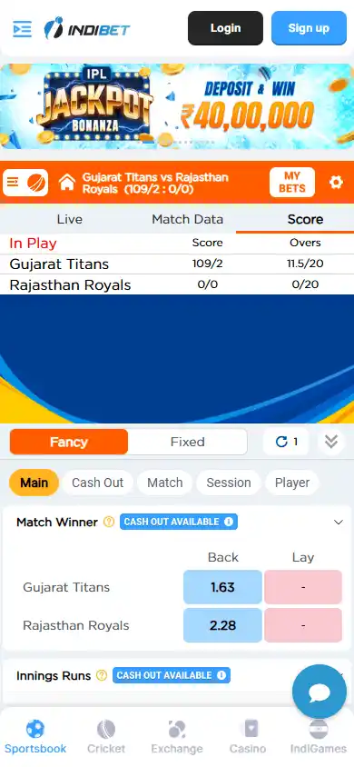 Indibet Casino screenshot 4