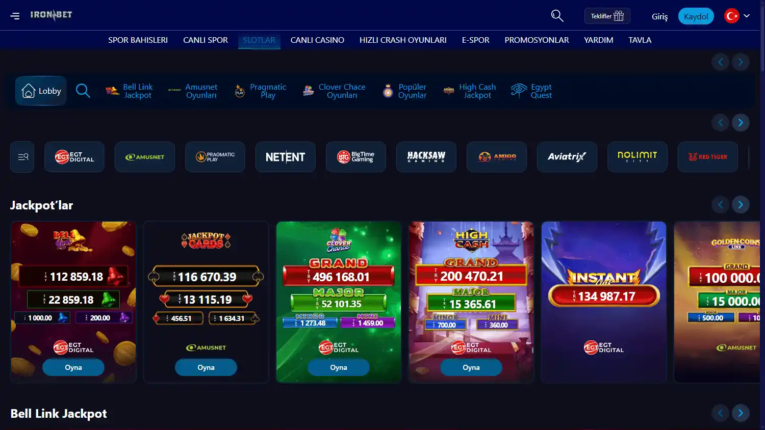 Ironbet Casino screenshot 2