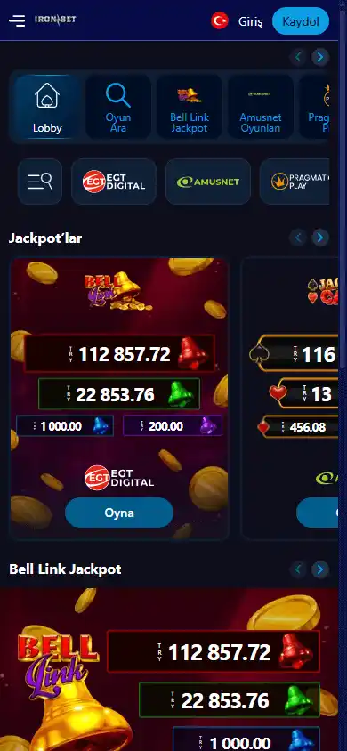 Ironbet Casino screenshot 5