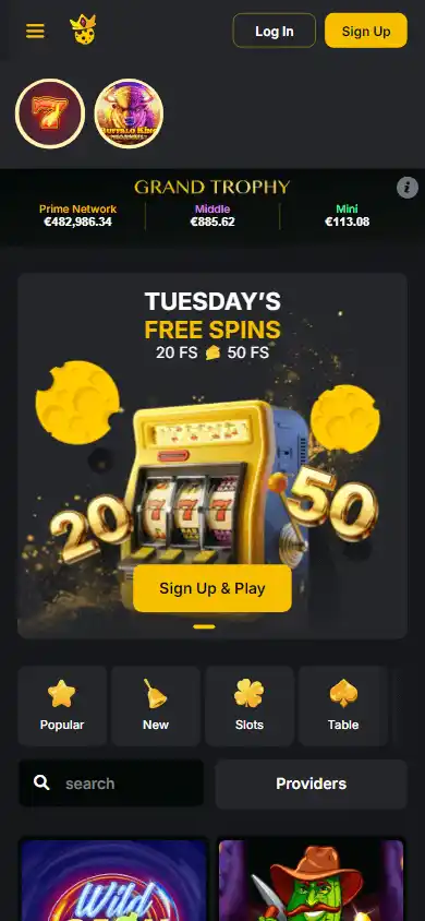 Kaasino Casino screenshot 4