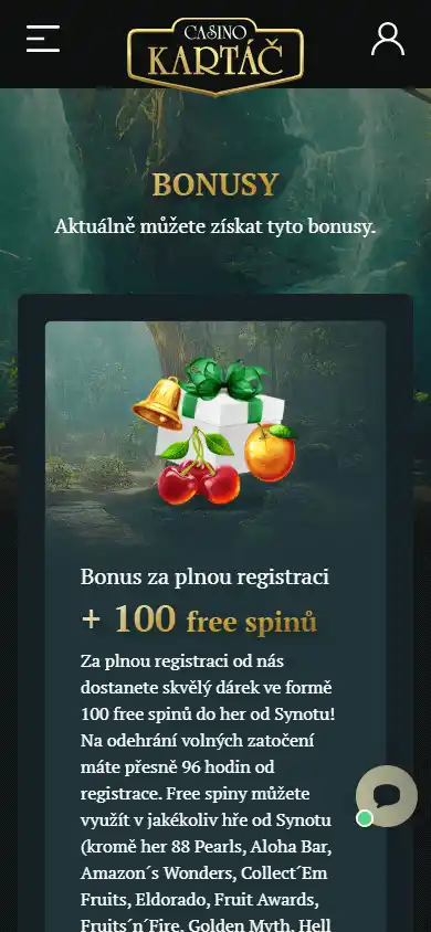 Kartáč Casino screenshot 4