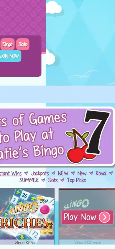 Katie's Bingo Casino screenshot 5
