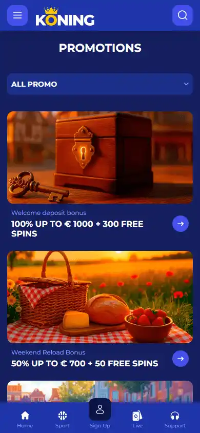 Koning Casino screenshot 6