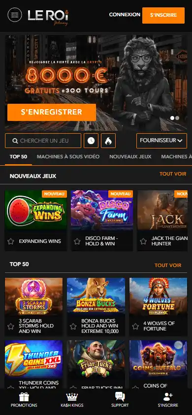 Le Roi Johnny Casino screenshot 3