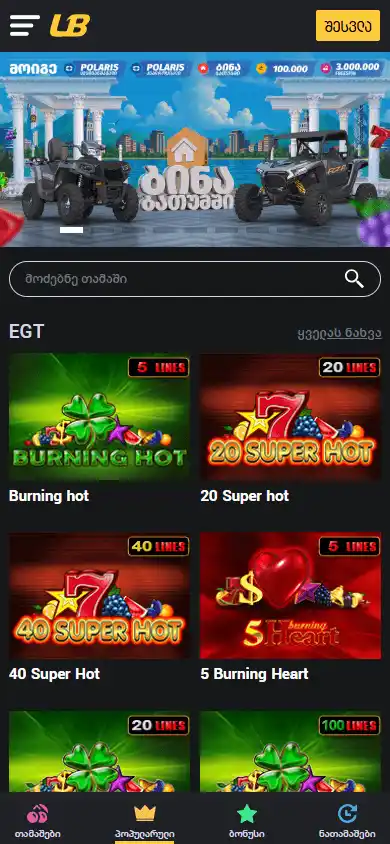 Leader-Bet Casino screenshot 5