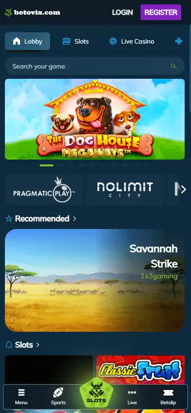 Betovix Casino screenshot 5