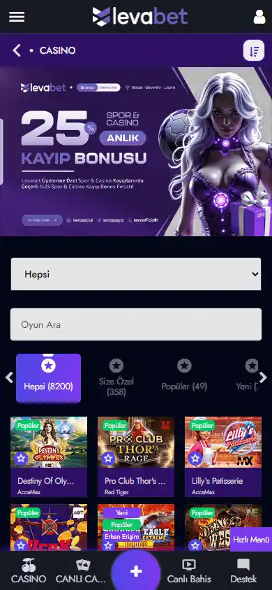 Levabet Casino screenshot 5