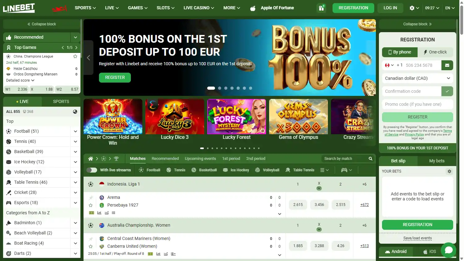 Linebet Casino screenshot 1