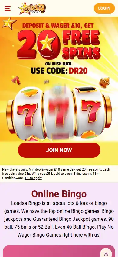 Loadsa Bingo Casino screenshot 3