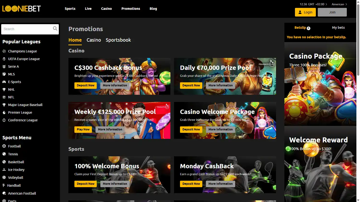 Looniebet Casino screenshot 3