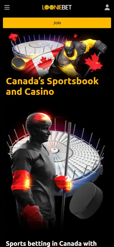 Looniebet Casino screenshot 4