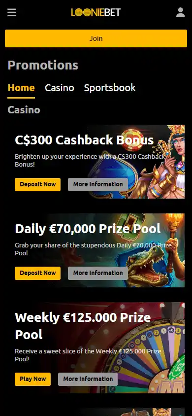 Looniebet Casino screenshot 6