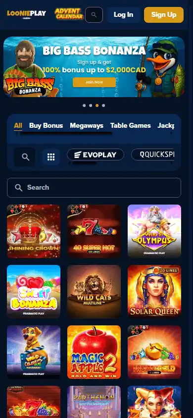 Loonieplay Casino screenshot 4